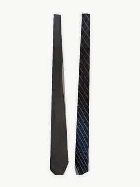 Men's Necktie Bundle 2 Ties Gray Silver